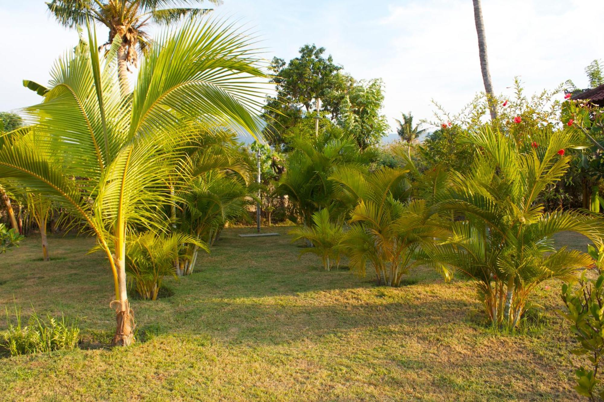 Bali Oase Resort Pemuteran  Luaran gambar