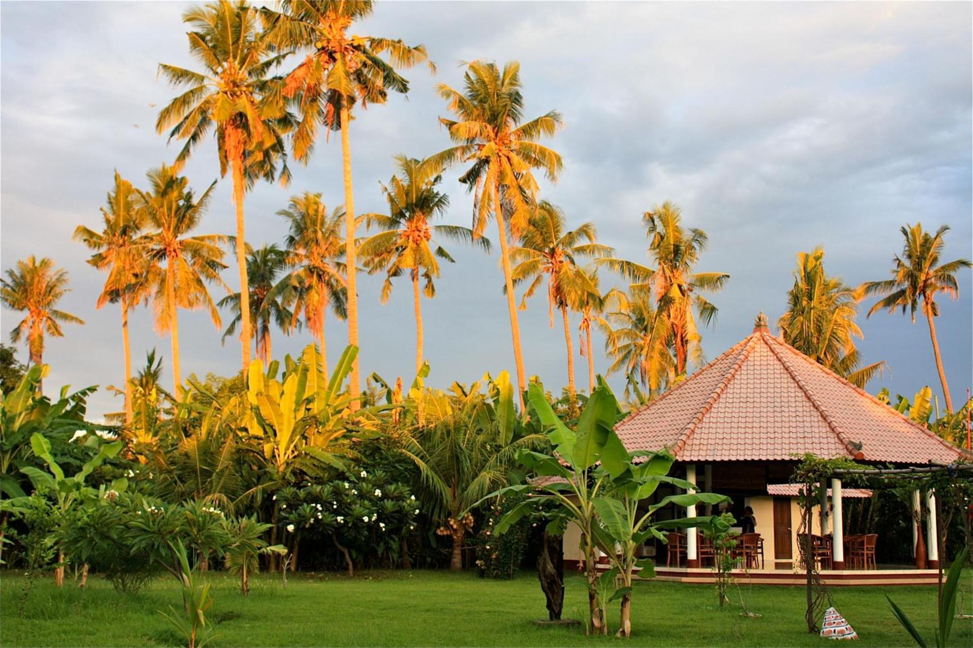 Bali Oase Resort Pemuteran  Luaran gambar